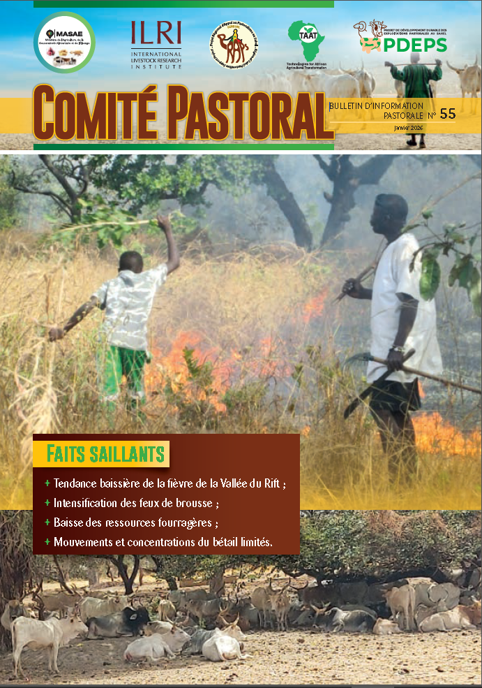 Bulletin d’information Pastorale Numéro 55